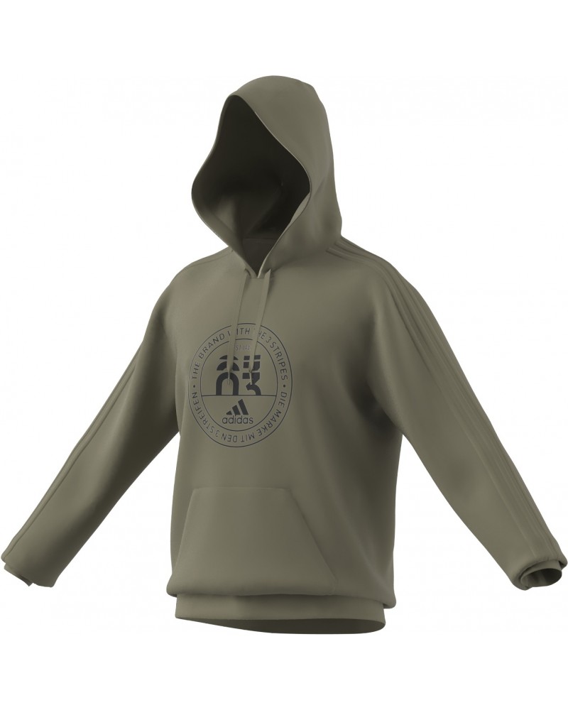 Sudadera con capucha Basics Emblem Graphic