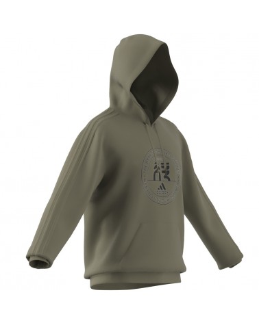 Sudadera con capucha Basics Emblem Graphic