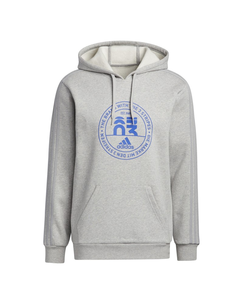 Sudadera con capucha Basics Emblem Graphic