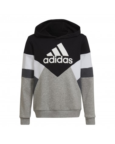 Sudadera con capucha Colorblock Fleece