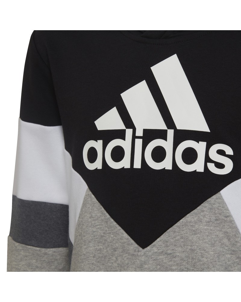 Sudadera con capucha Colorblock Fleece